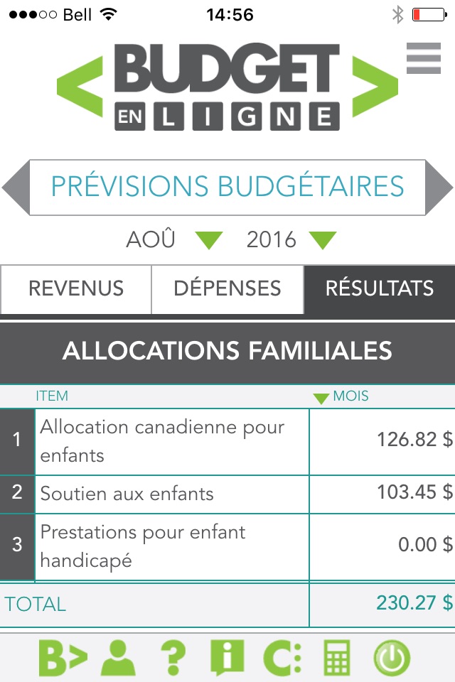 Budget en ligne screenshot 4
