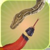 Snake Touch: Dual Battle - iPadアプリ
