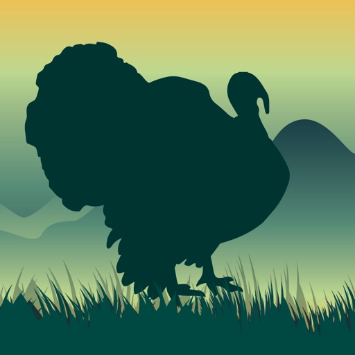 Wild Turkey Calls icon