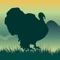 Wild Turkey calls is a very user friendly soundboard for your turkey hunting experience