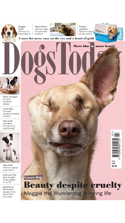 Dogs Today Magazine screenshot-3