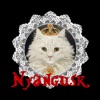 保護猫カフェニャングスク 公式アプリ