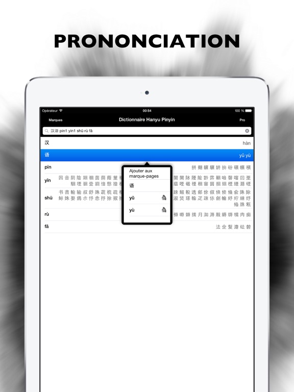 Screenshot #5 pour Dictionnaire Hanyu Pinyin