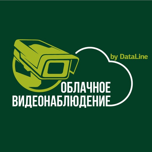 DataLine Видеонаблюдение