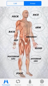 Massage Techniques screenshot