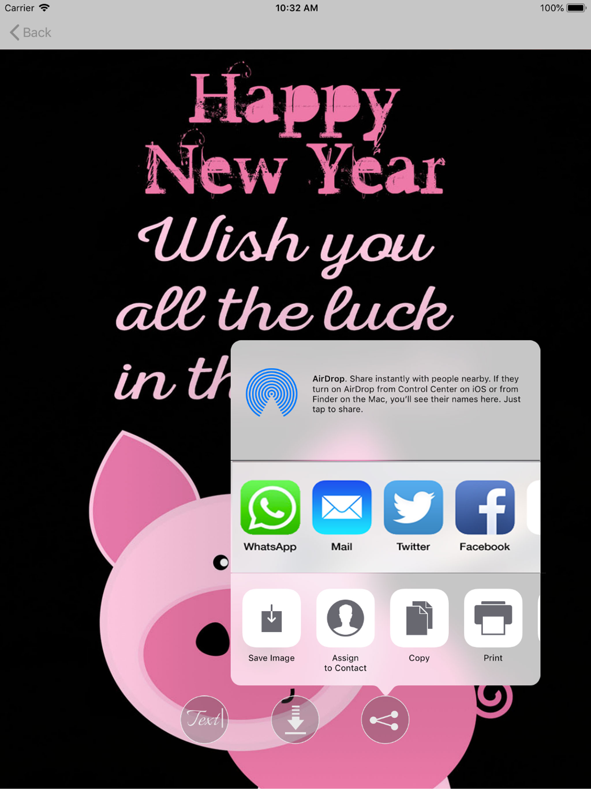 2021 Happy New Year Greetings screenshot 8