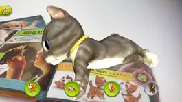Game screenshot My Cutest Kitten mod apk