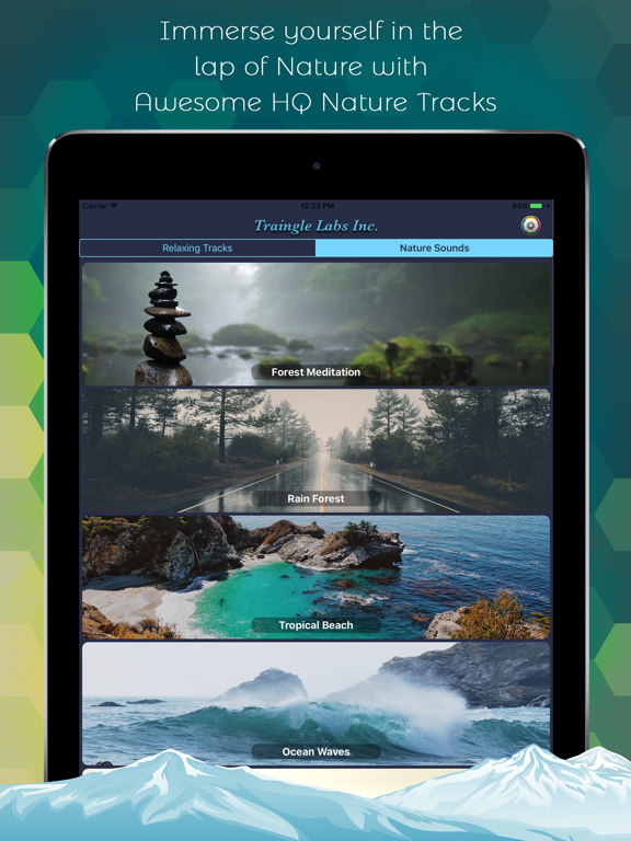 Screenshot #5 pour Meditation Music and Melodies
