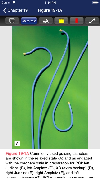 Cardiac Surgery in Adults, 5/E screenshot-6