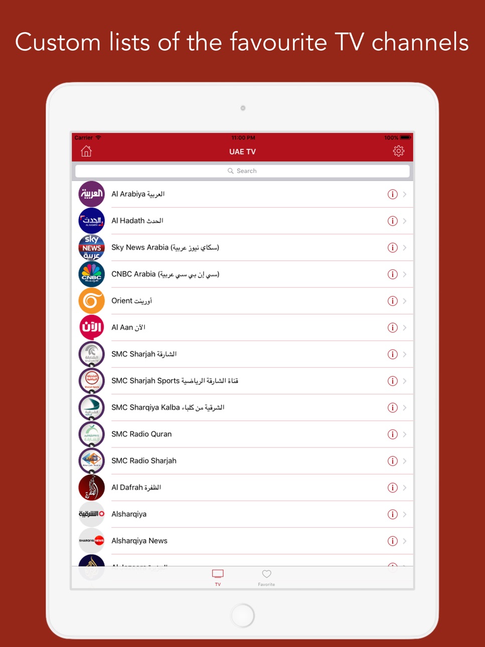 iPad screenshot