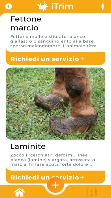 iTrim Screenshot 7 of 8