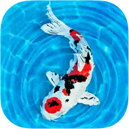 My Koi app icon
