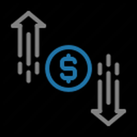 Cash flow statement