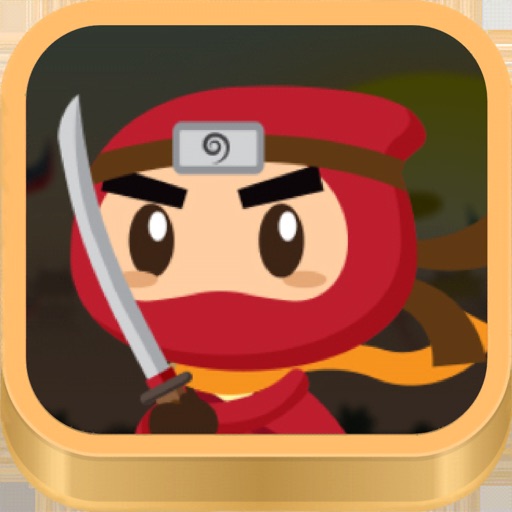 Ninja Dash:Start your Journey