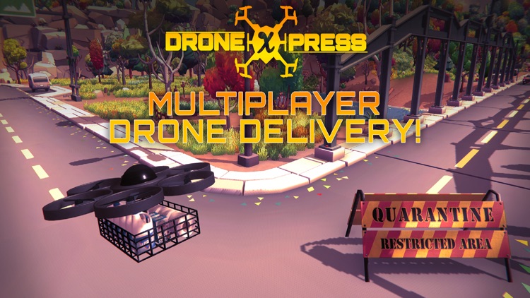 DroneXpress Delivery Adventure