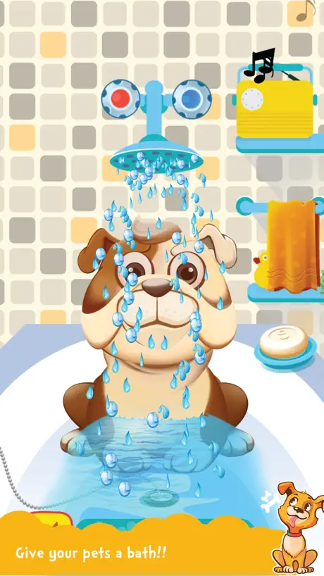 Pet Vet Doctor -Animal DayCare