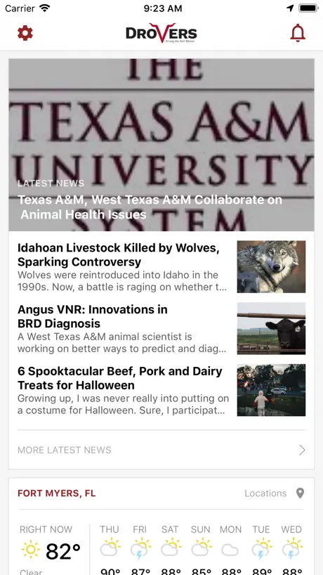Beef News and Markets