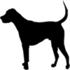 犬 - クイズ - iPhoneアプリ