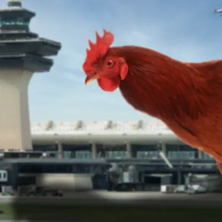 Chicken Airport Cheats