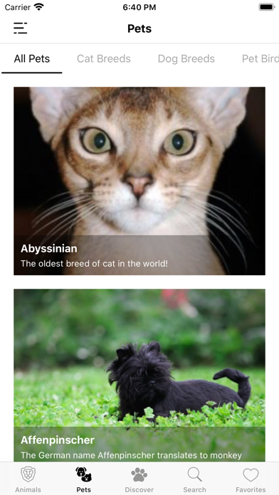 Animal Facts (Animal World) Screenshot