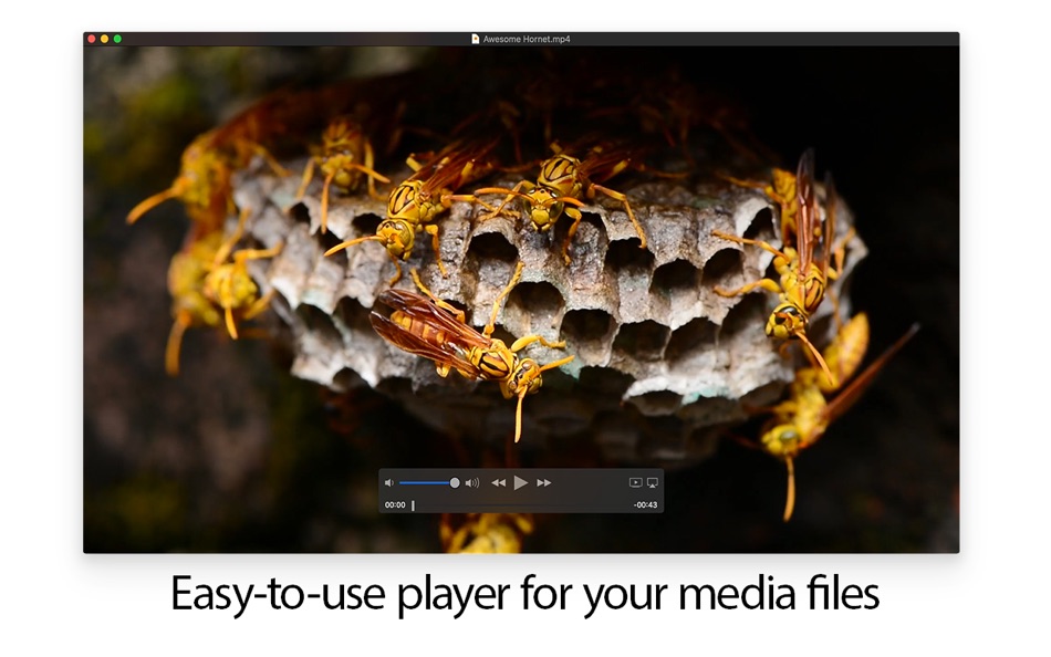 #6. MKPlayer - MKV & Media Player (macOS) di: Rocky Sand Studio Ltd.