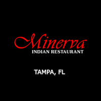 Minerva Tampa