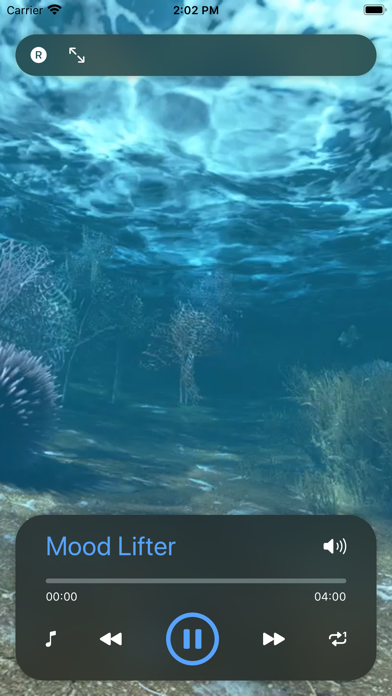 Screenshot #2 pour Énergie vitale et force