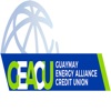 GEACU icon