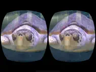 Aquarium Videos for Cardboard ipad bilder 1