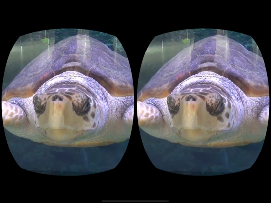 Aquarium Videos for Cardboard iPad app afbeelding 2