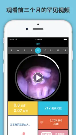 Game screenshot 怀孕须知 mod apk