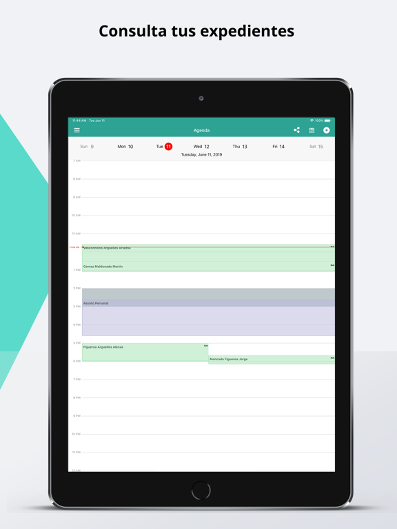Eleonor iPad screenshot 4 - Medical app