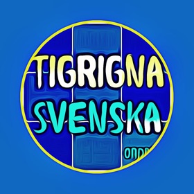 螢幕擷取畫面 (4) Tigrigna Svenska