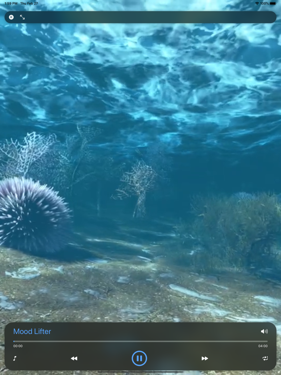 Screenshot #5 pour Énergie vitale et force