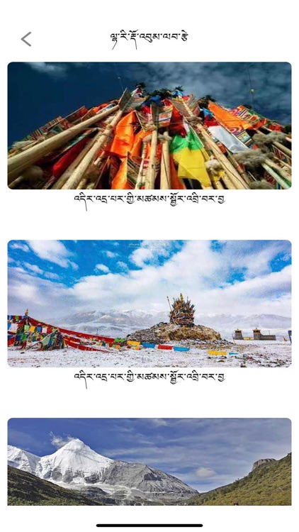 chekawa-管理员版本 screenshot-3