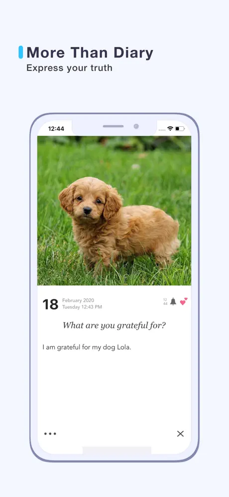 Simpler - Diary, Journal