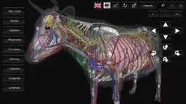 Game screenshot 3D Bovine Anatomy mod apk