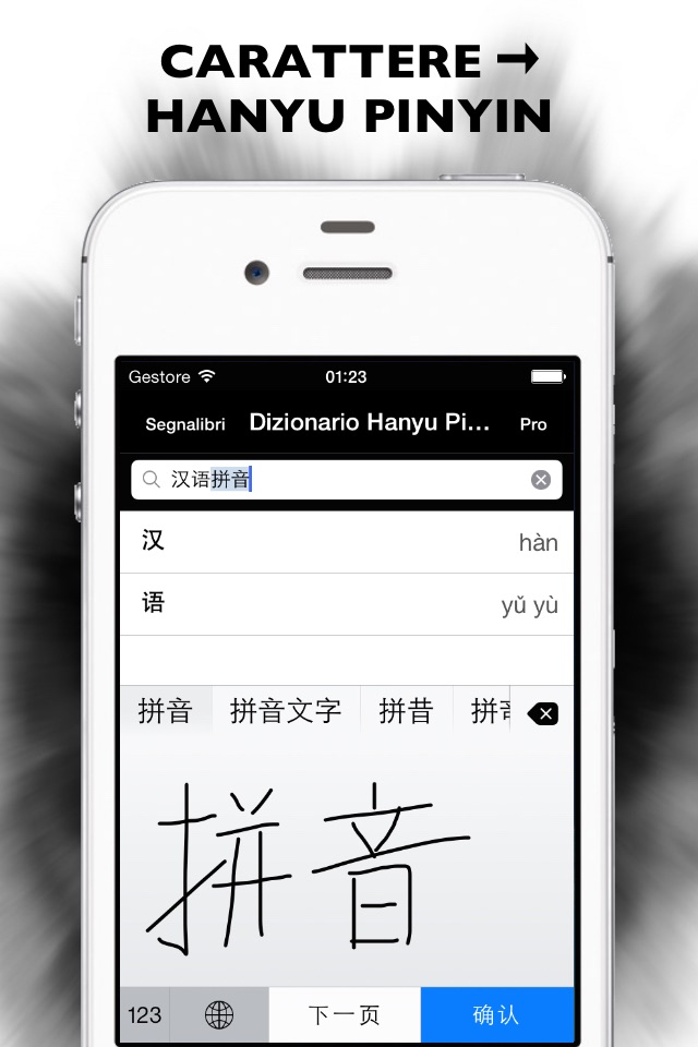 Hanyu Pinyin Dictionary screenshot 4