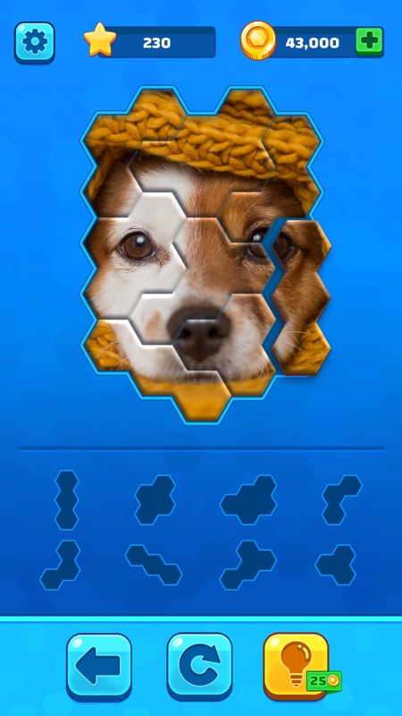 Hexa Jigsaw Puzzle ® screenshot 1