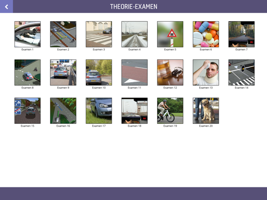 Screenshot #5 pour TrafficPro Docent