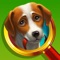 Explore the area and start hunting for hidden objects