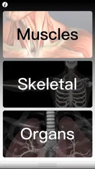 Anatomy Quiz Pro iphone bilder 1