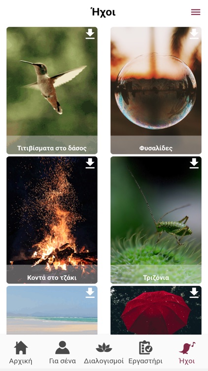 Mindfulness Institute