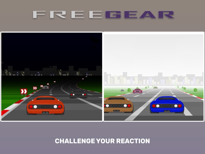 Freegear Car Racing Simulator