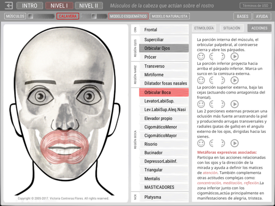 Screenshot #5 pour ARTNATOMYA (en español)