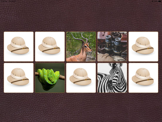 Screenshot #6 pour Kid Safari Concentration