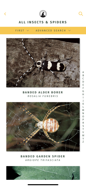 NWF Guide to Insects & Spiders(圖5)-速報App
