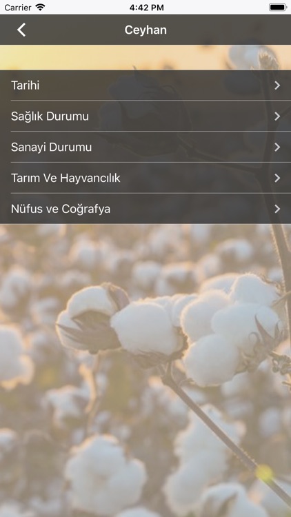 Ceyhan Ticaret Borsası