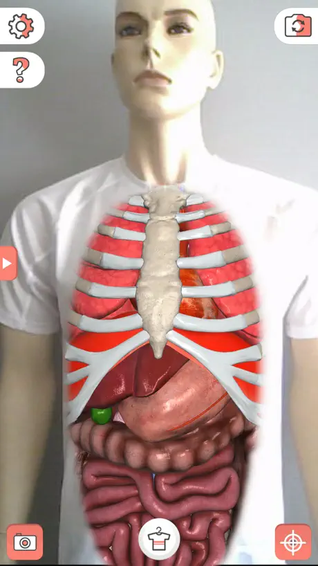 Magic T-shirt