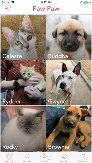 Paw Paw - Pet Adoption Screenshot